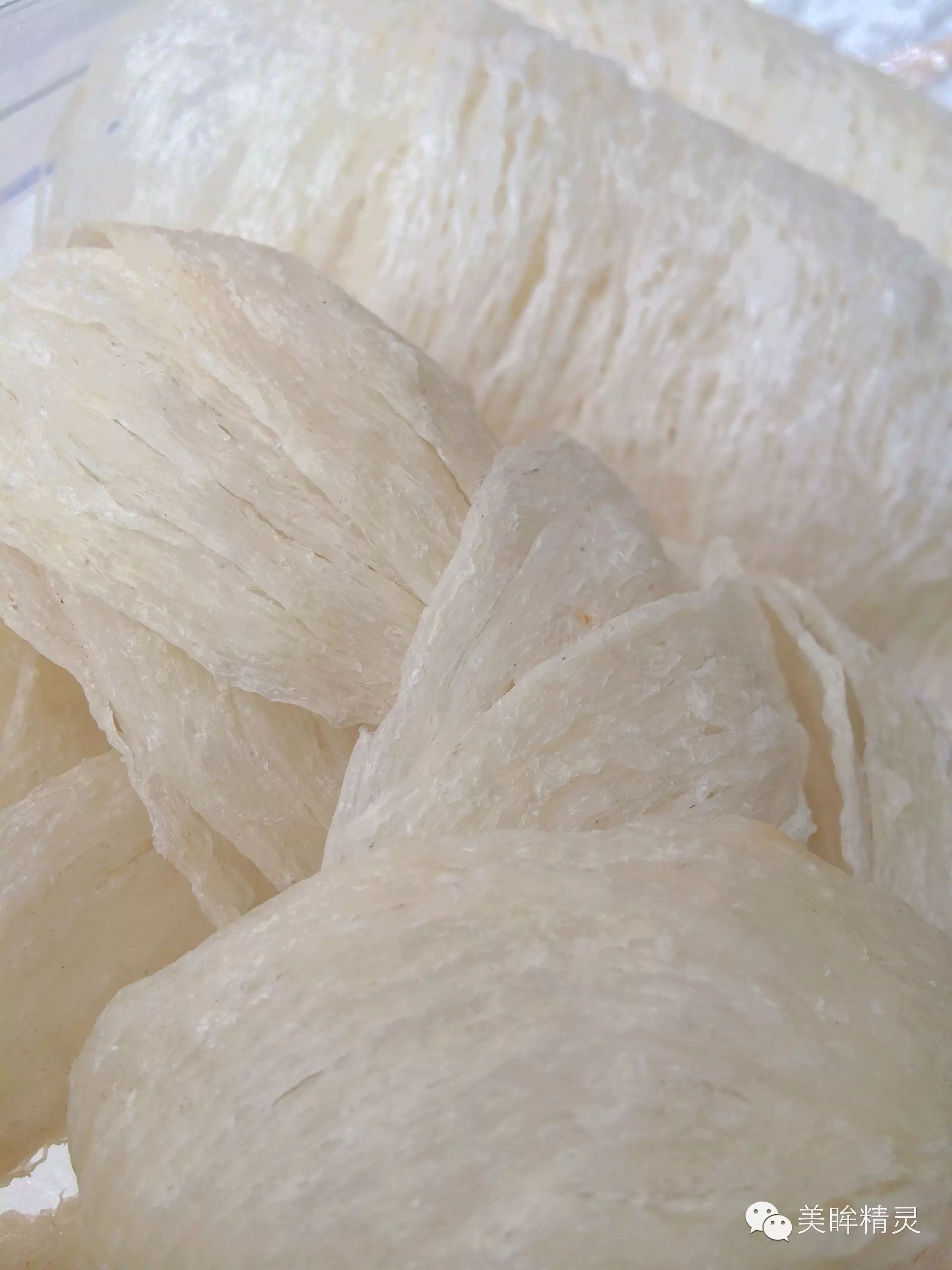 从香港医院到顶级月子中心“我的备孕怀孕经验帖”-怀孕期