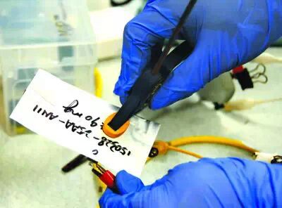 中国诞生“终结者”，液态金属机器领先世界，为中国科学家点赞！