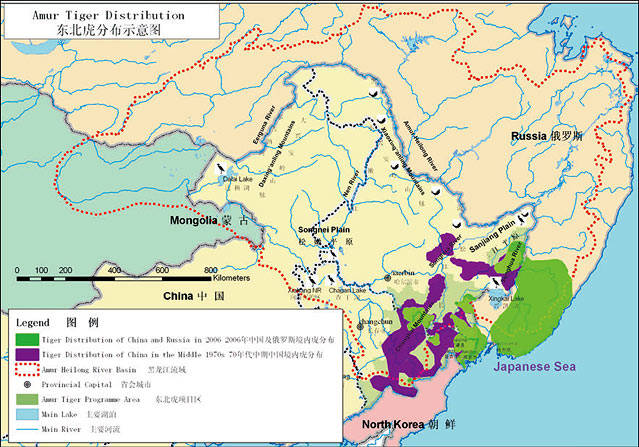 东北虎分布图