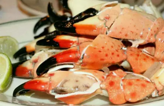 佛罗里达石蟹钳