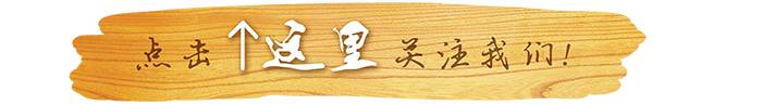 段氏家族简介