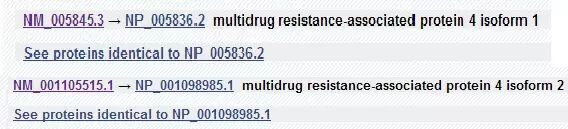 医生做科研不能不知道的软件——EditSeq及ＭegAlign