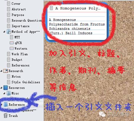 论文写作的黑科技