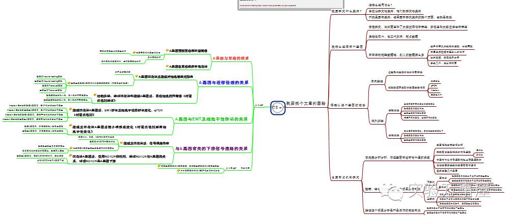 论文写作的黑科技