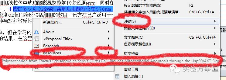 论文写作的黑科技