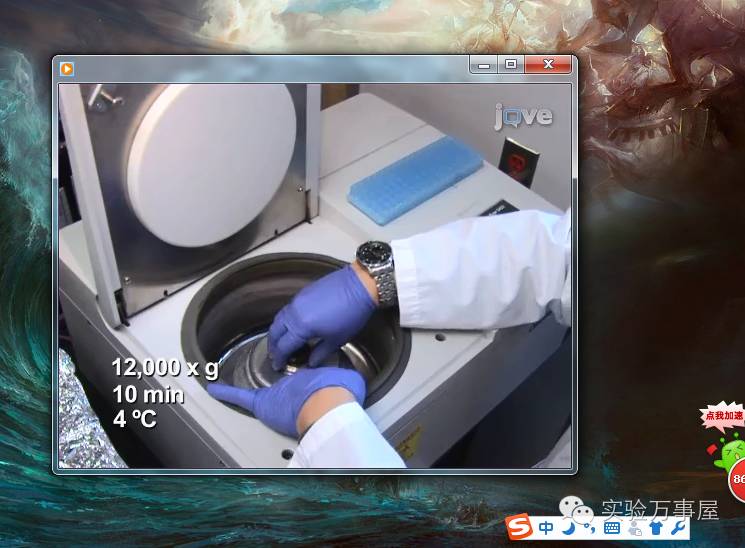 全部的实验，我都是看小电影学会的……