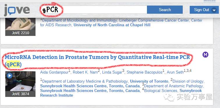 全部的实验，我都是看小电影学会的……