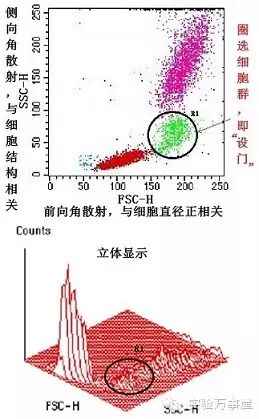 流式，你到底在闹哪样？——四张图教你看懂基本的流式结果