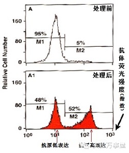 流式，你到底在闹哪样？——四张图教你看懂基本的流式结果