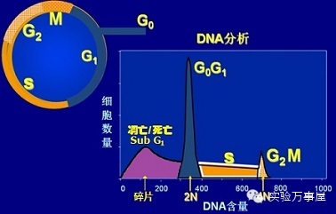 流式，你到底在闹哪样？——四张图教你看懂基本的流式结果