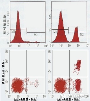 流式，你到底在闹哪样？——四张图教你看懂基本的流式结果