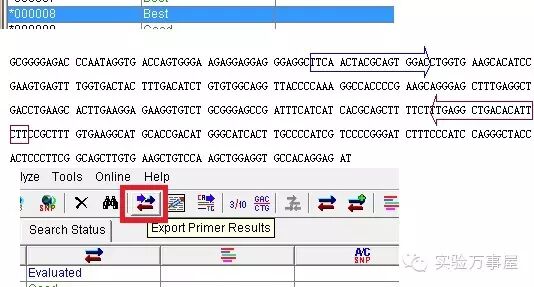 见鬼去吧，引物设计原则！——3分钟学会qPCR引物设计