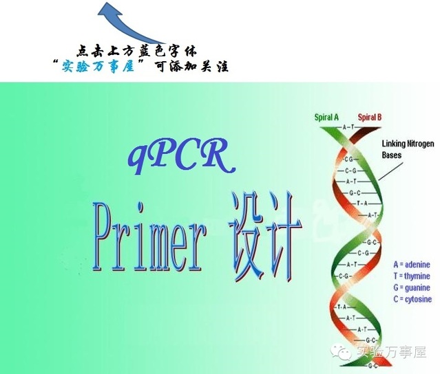 见鬼去吧，引物设计原则！——3分钟学会qPCR引物设计