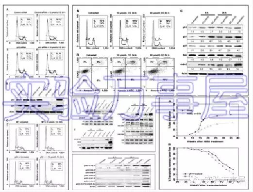 发SCI文章的最好时机——偷偷告诉你