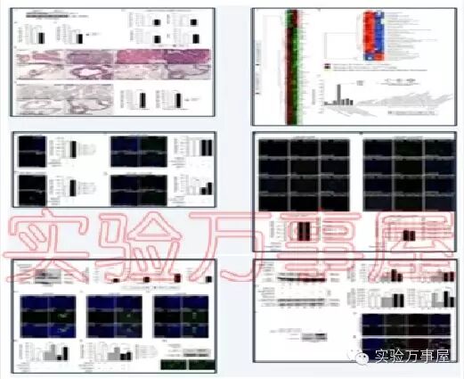 发SCI文章的最好时机——偷偷告诉你