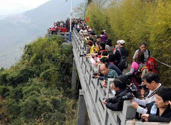 别拦我，让我加班！