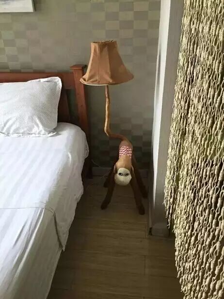 可能是年度最魔性推文，慎入