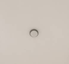 可能是年度最魔性推文，慎入