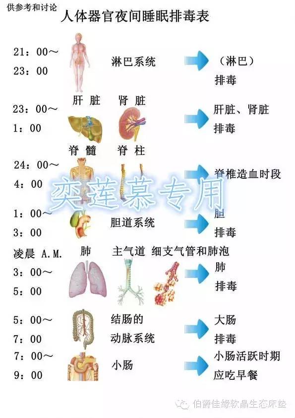 【奕莲慕身体调理器】各年龄段睡眠时间表,你睡够了没