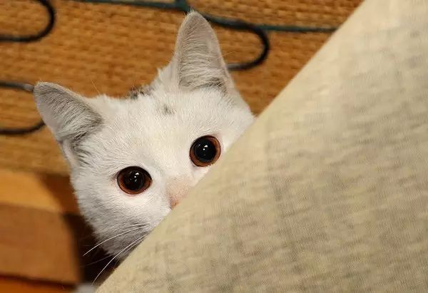 汉中办公场所租赁_办公场所租赁_住所营业场所租赁合同