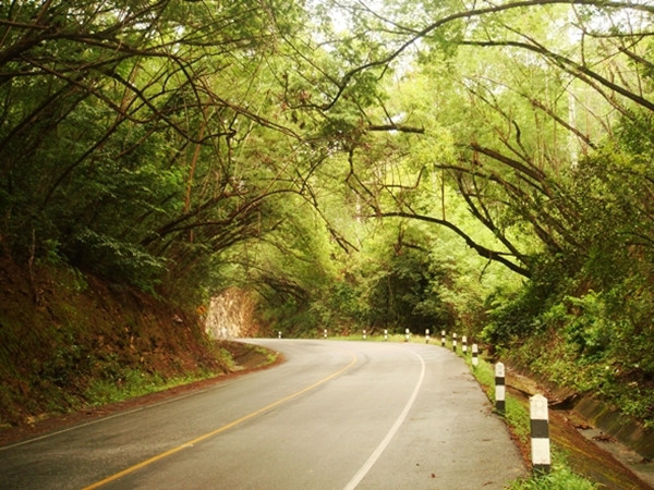 [清迈丛林飞跃] 泰国7大风景最美公路:梦幻壮美 令人窒息