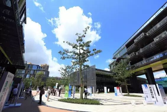 珠海创业项目_有什么创业好项目_珠海有什么好的创业项目