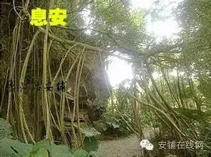 640.webp (02).jpg