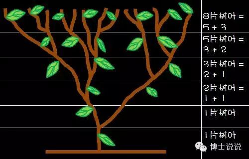 陪孩子一起画一条完美的贝壳螺旋线