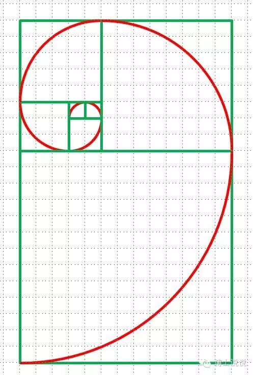 陪孩子一起画一条完美的贝壳螺旋线