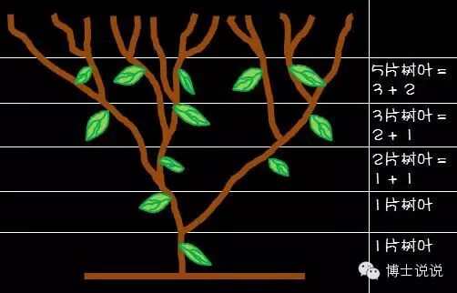 陪孩子一起画一条完美的贝壳螺旋线