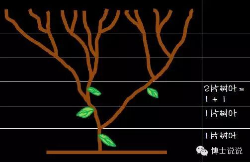 陪孩子一起画一条完美的贝壳螺旋线
