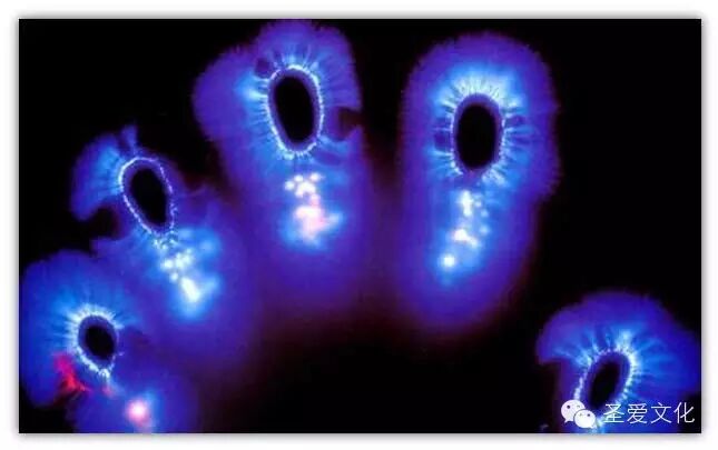 如何看到人体辉光场