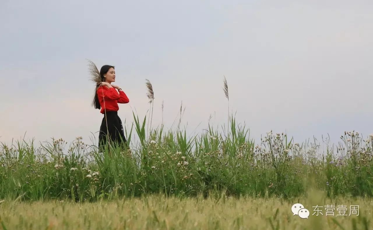 李健的《风吹麦浪》灵感来源居然是东营的——