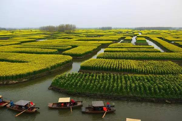 煙花三月去踏青 & 細數3月份國內那些旅游聖地