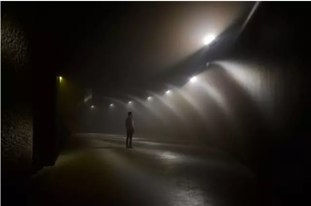 大数据与光艺术作品