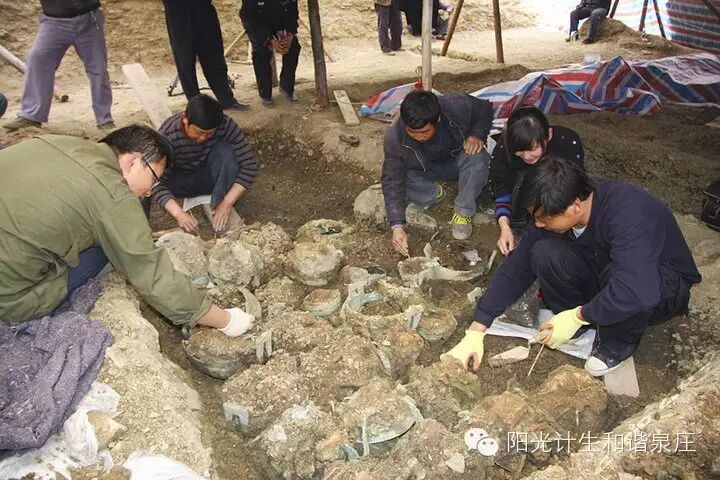 人口与计划生育法 (2015年修正)第四章-怀孕期