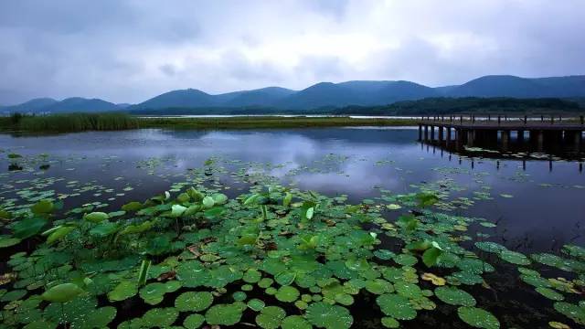 建平县属于哪个市_广西桂平属于市还是县_宝清属于县还是市