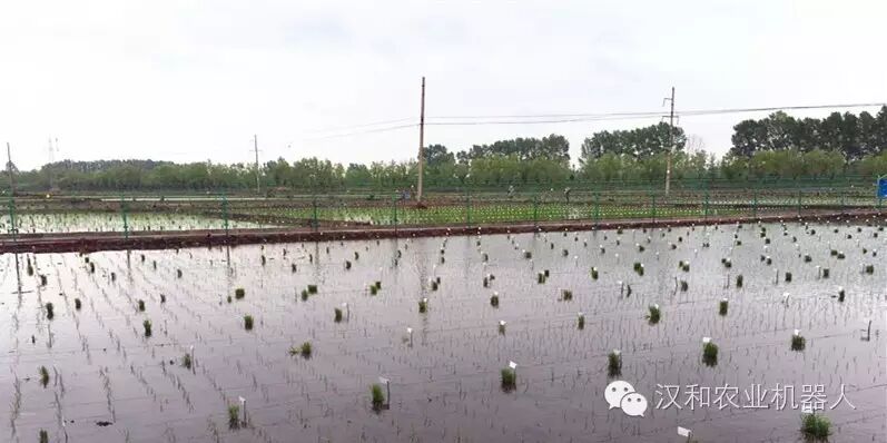 最近在哪里可以遇見3CD-15漢和植保無人機(jī)？ 