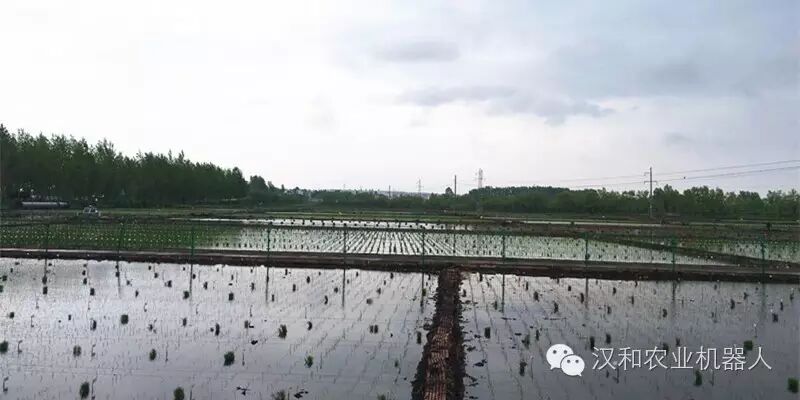 最近在哪里可以遇見3CD-15漢和植保無人機(jī)？ 