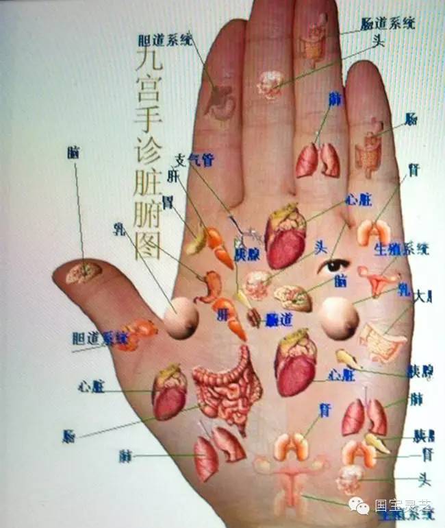 手诊歌——好记,好学,好理解