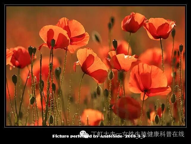 输卵管炎症患者由“不孕”到“怀孕”赢的是心态-怀孕期