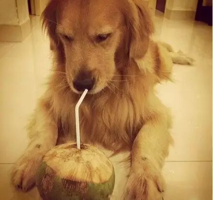 旅行小贴士：如何在路途奔波中保持健康