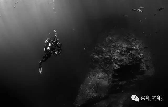 心理学创新创业项目点子 微校友 | 探寻一种致用的心理学：我的思想自传