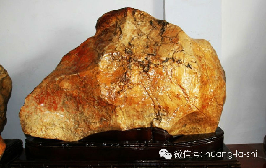 奇,化石篇:藏瓷(西藏)