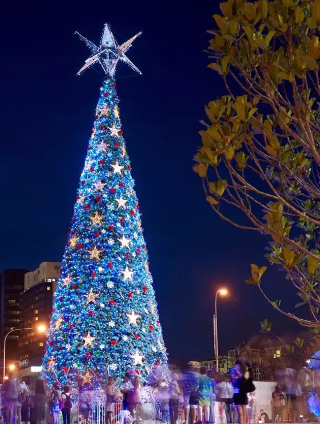 ӢŮ2016ʥش & ȫλáʱеʥʥ