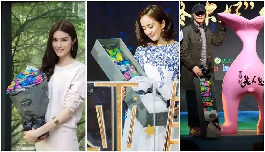 特别推荐  星爷陈小春杨幂何穗捧在手里的,不只是玫瑰