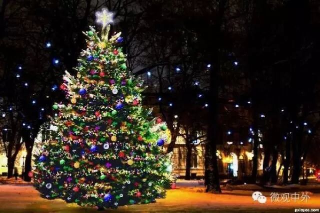 圣诞节  Diana Krall:Christmas time is here