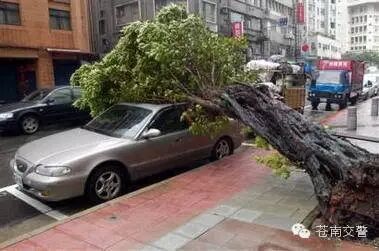 ����̨�硰�����ǡ���Щ��Ϣ�ؿ���