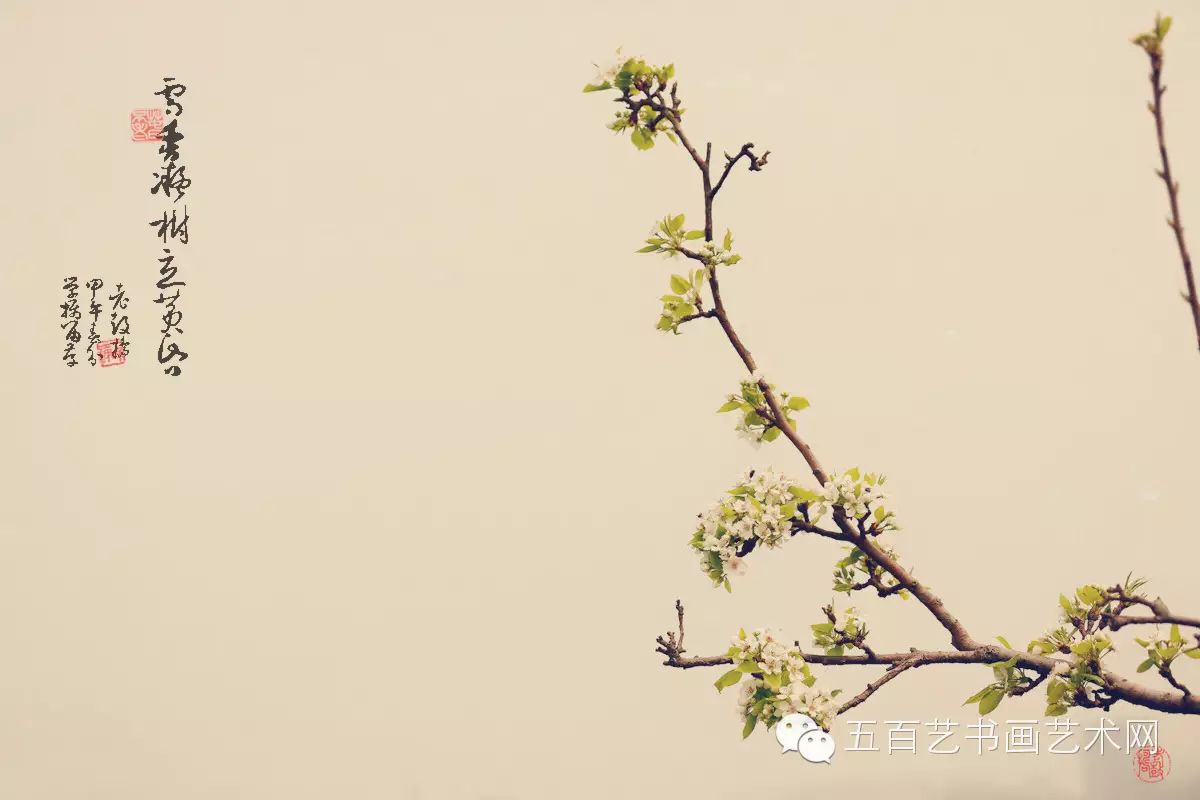 玉容寂寞泪阑干,梨花一枝春带雨.——白居易