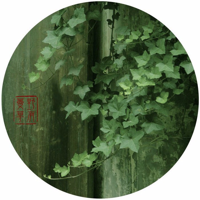 山有扶苏,隰有荷华.不见子都,乃见狂且.昔我往矣,杨柳依依.